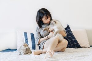 How to Train Your Pet Simple Techniques for Success