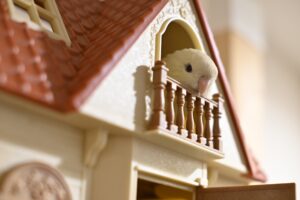 Is Your Pet Overweight Tips for Maintaining Healthy Weight