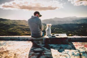 Pet Grooming Essentials Keeping Your Furry Friend Clean and Healthy
